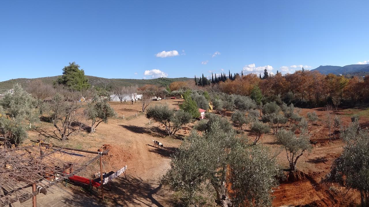 Relax In 'Crazy Farm' Villa Asprokhorion Esterno foto