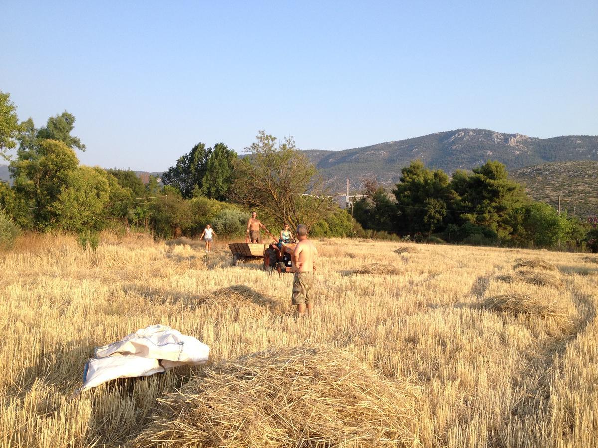 Relax In 'Crazy Farm' Villa Asprokhorion Esterno foto